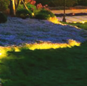 蘇州校園景觀(guān)設計?的具體方法