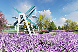 為什么蘇州園林設(shè)計會美不勝收？